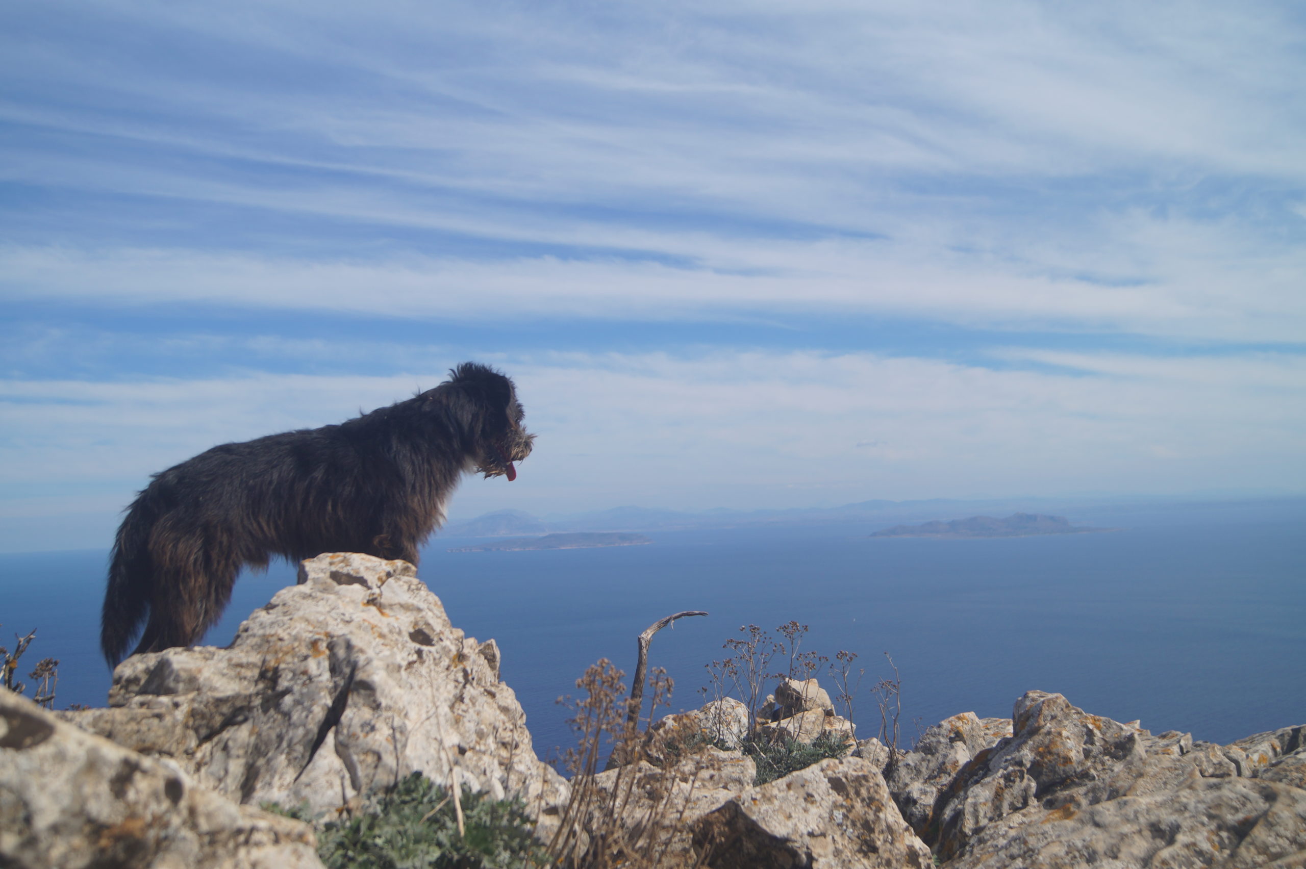 In cima a Pizzo Falcone In cima a Pizzo Falcone