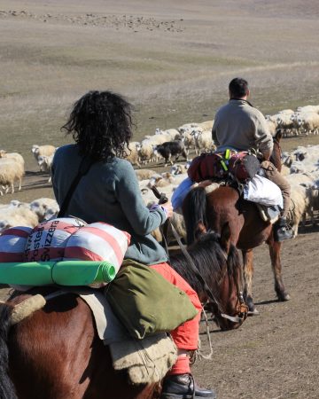 A cavallo