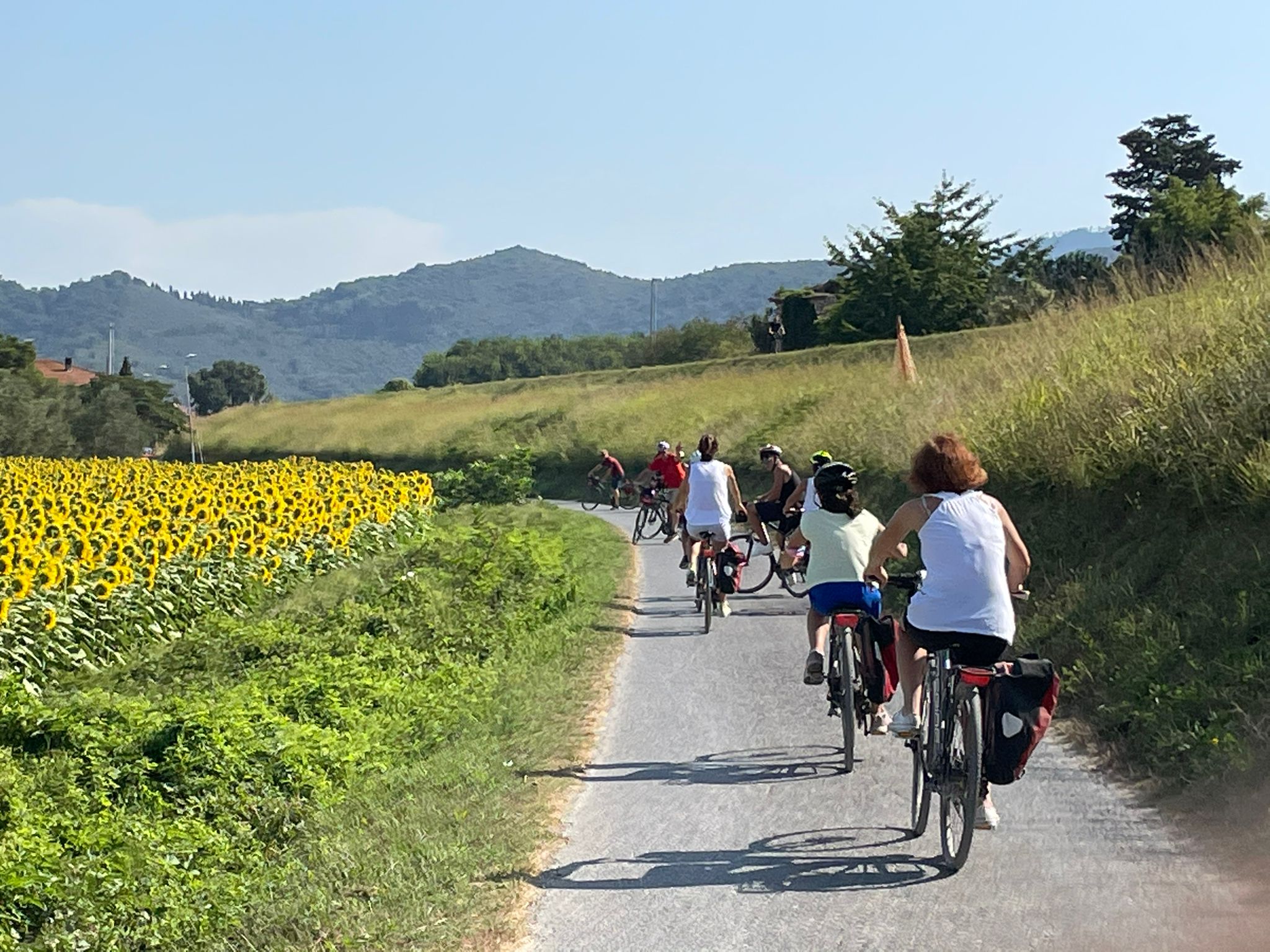 Lucca Pisa Cycling