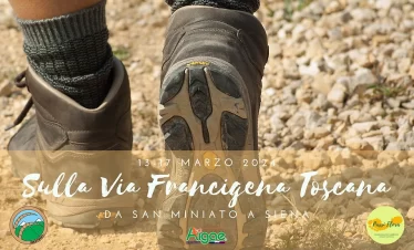 VF Toscana Ibex