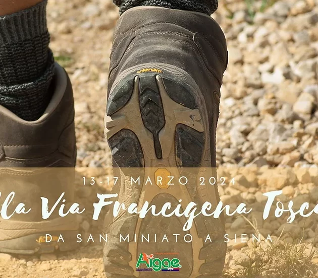 VF Toscana Ibex