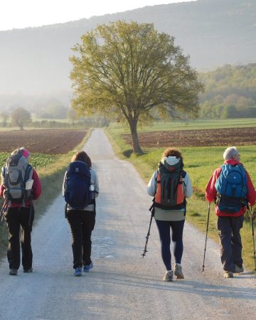 Trekking