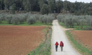 via-francigena_toscana