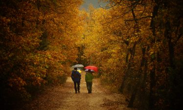 Trekking Autunno Orecchiella
