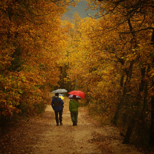 Trekking Autunno Orecchiella