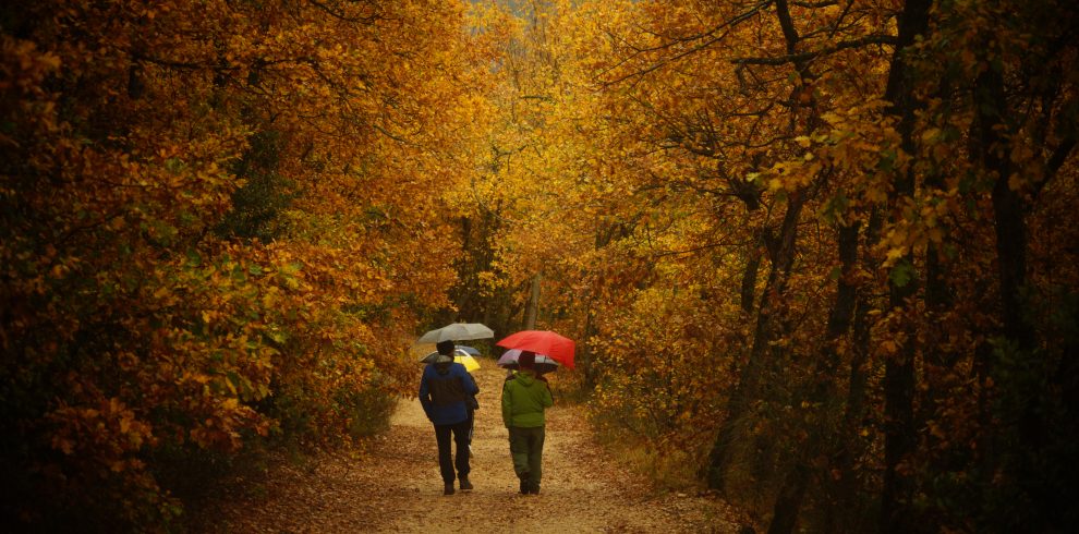 Trekking Autunno Orecchiella
