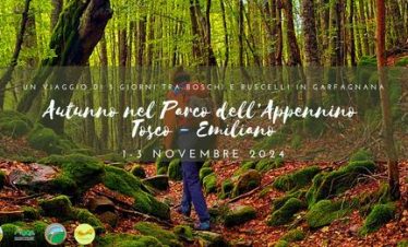 Trekking Autunno Orecchiella