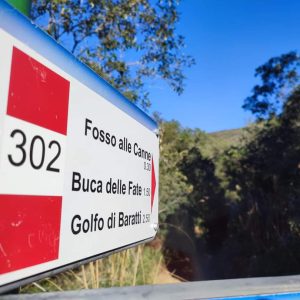 Golfo Baratti Trekking