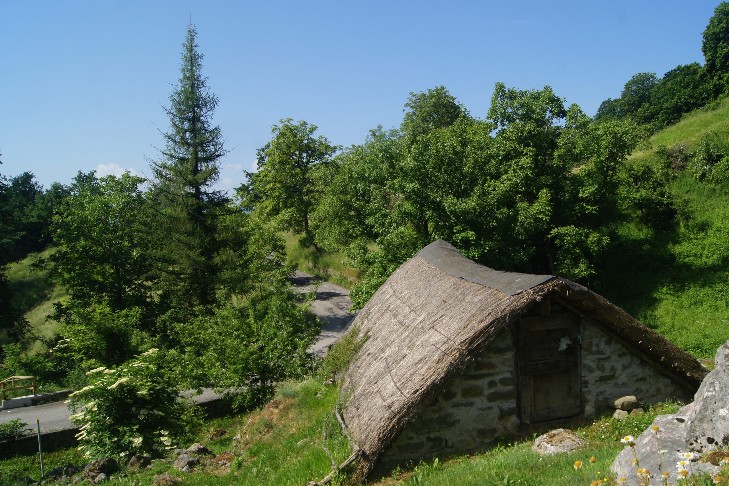 Pruno Orecchella Trekking