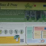Pruno Orecchella Trekking