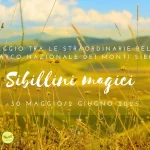 Sibillini Magici 2025