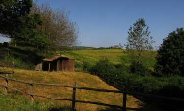 Amiata Centro Faunistico Labbro