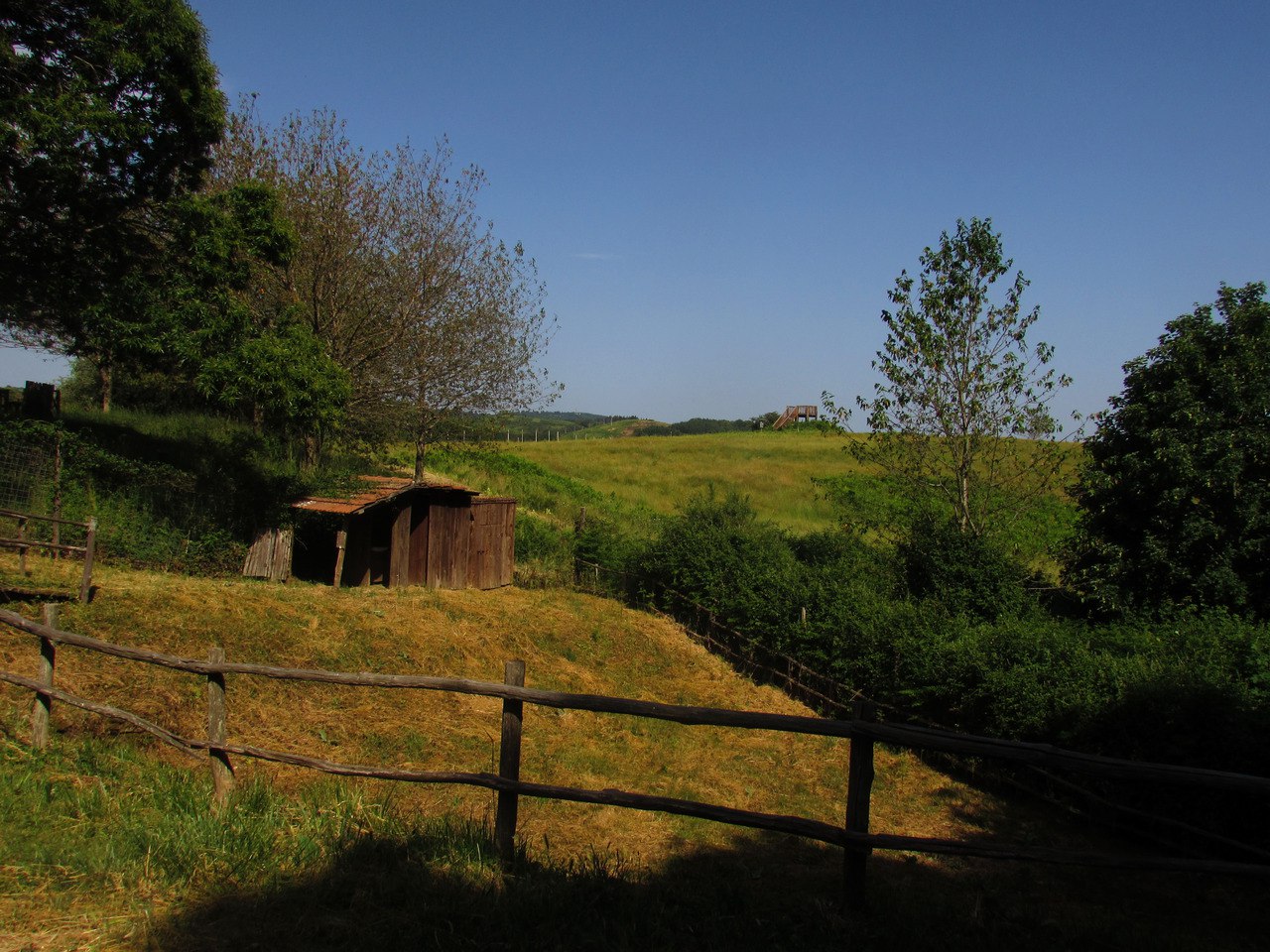 Amiata Centro Faunistico Labbro