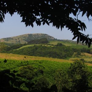 Amiata MOnte Labbro