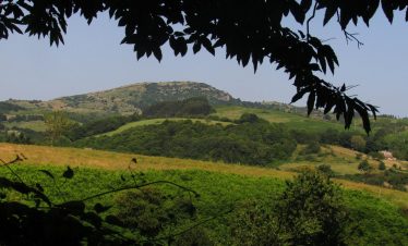 Amiata MOnte Labbro