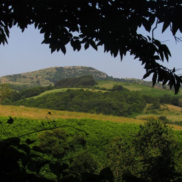 Amiata MOnte Labbro