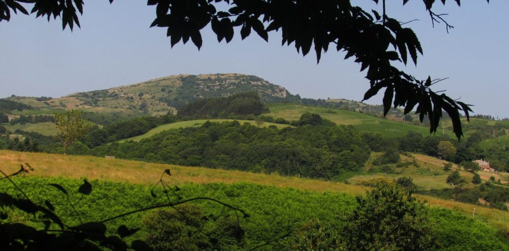 Amiata MOnte Labbro