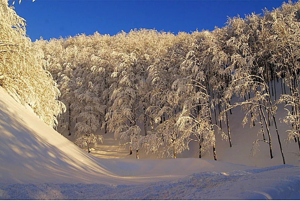 Bianco Appennino Ciaspole