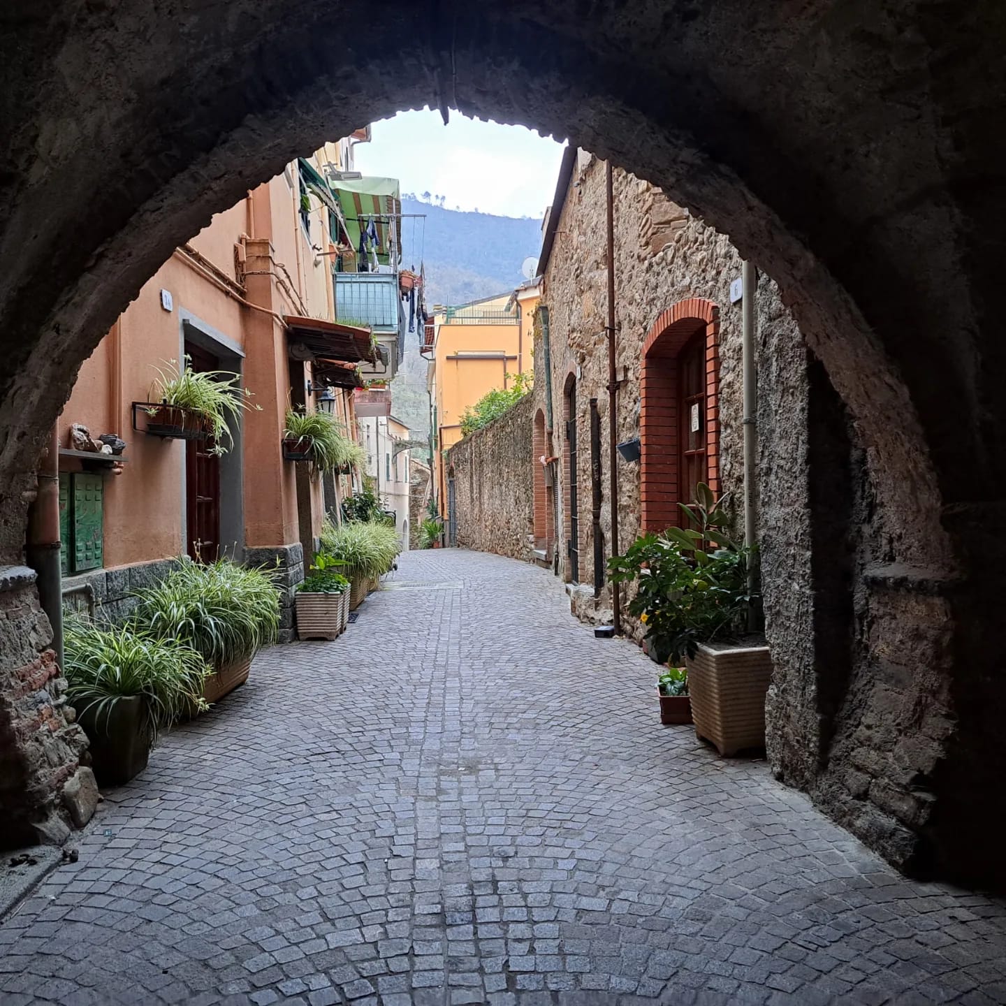 Alto Piemonte Trekking