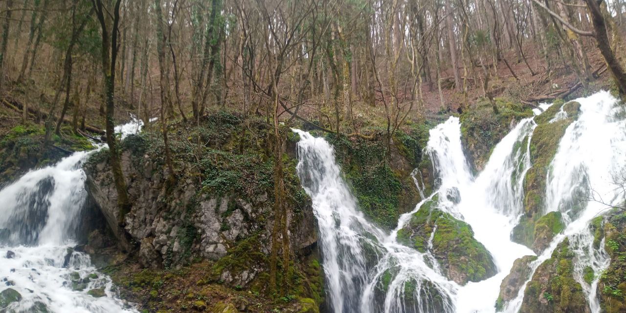 Bistrica