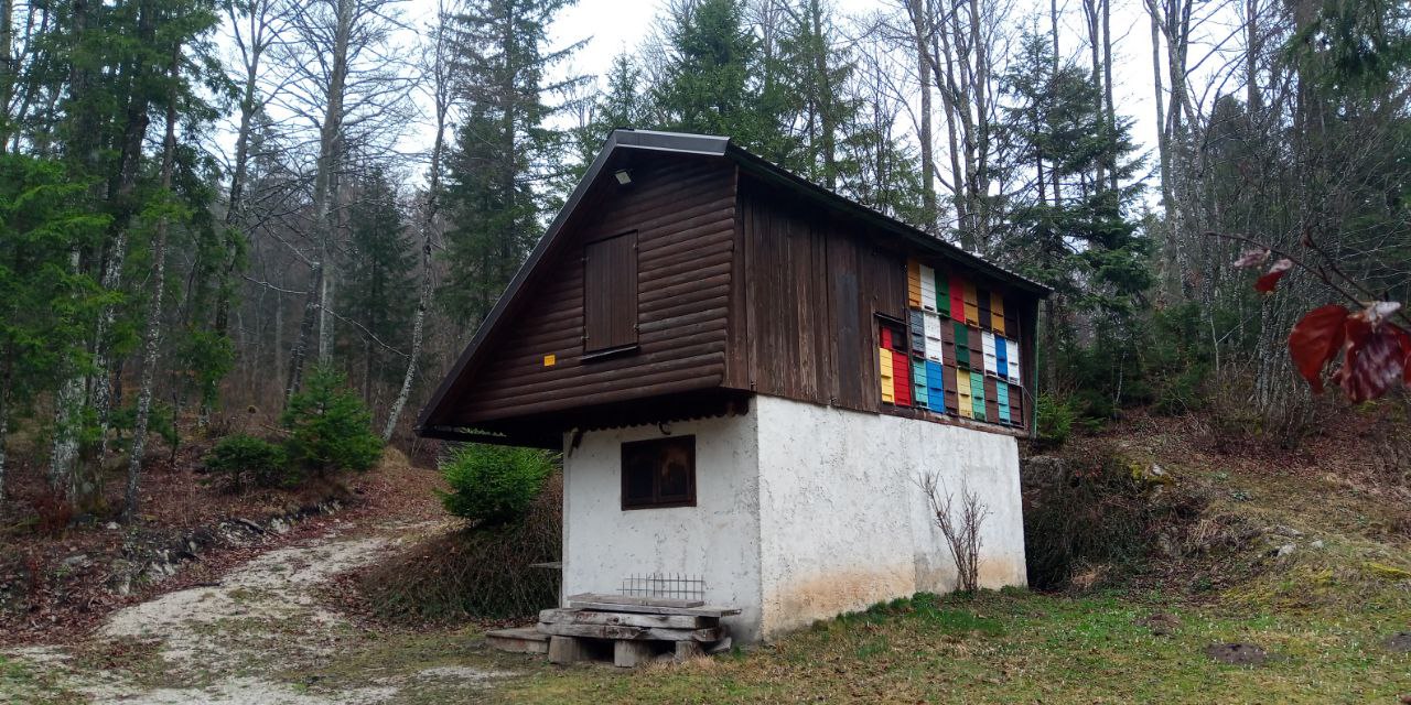 Loska Dolina
