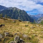 Gran Paradiso Arculà 5